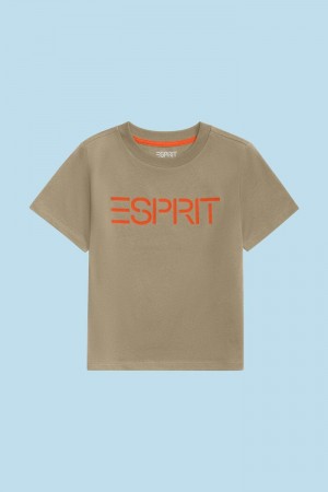 Dětské Tričko Esprit Organic Bavlněné Logo Hnědé | GLP056478