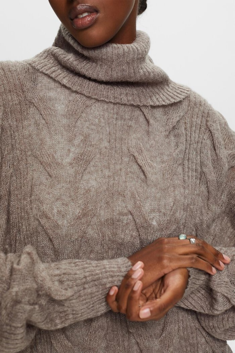 Dámské Jumpers Esprit Cable-knit Turtleneck Hnědé Šedé | BPJ931402