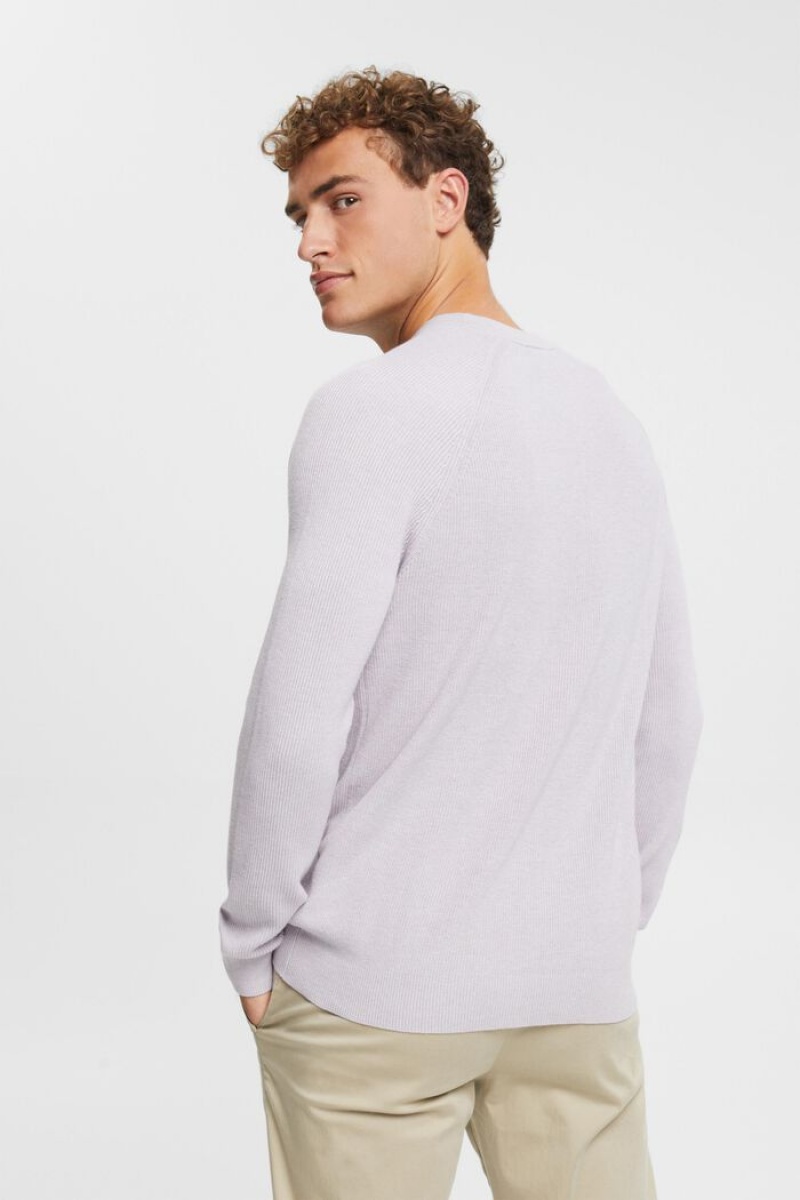 Pánské Jumpers Esprit Crewneck,100% Bavlněné Levandule | JKN526974