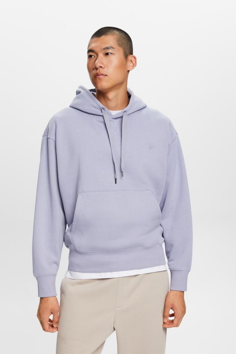 Pánské Mikina s Kapucí Esprit Logo Stitching Světle Blankyt Levandule | RUZ529301