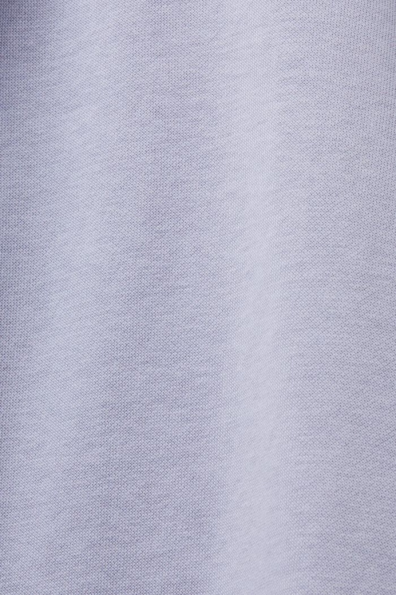 Pánské Mikina s Kapucí Esprit Logo Stitching Světle Blankyt Levandule | RUZ529301